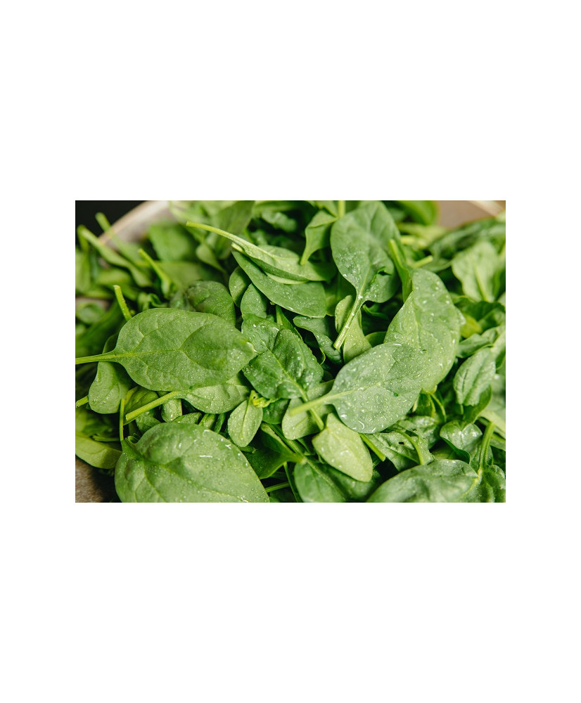 Greens - Spinach